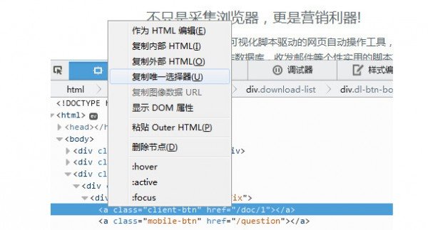 VG浏览器正式版
