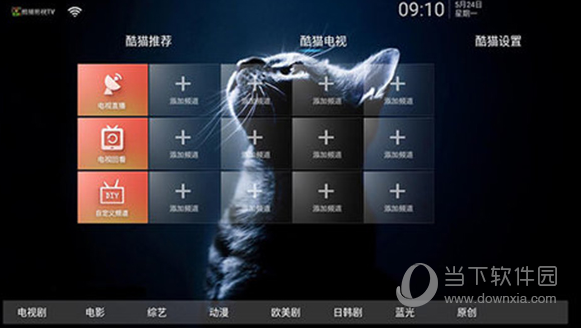 酷猫影视TV