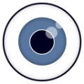 We See(趣味浏览器)