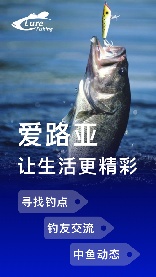 爱路亚
