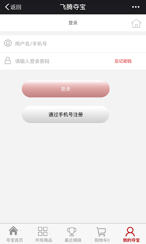 飞腾夺宝