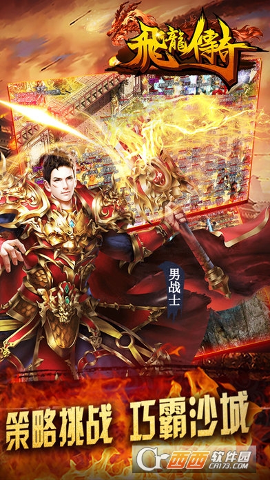 飞龙传奇