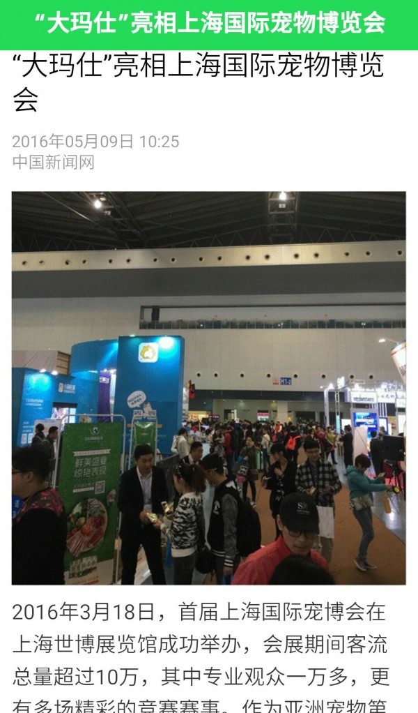 大玛仕