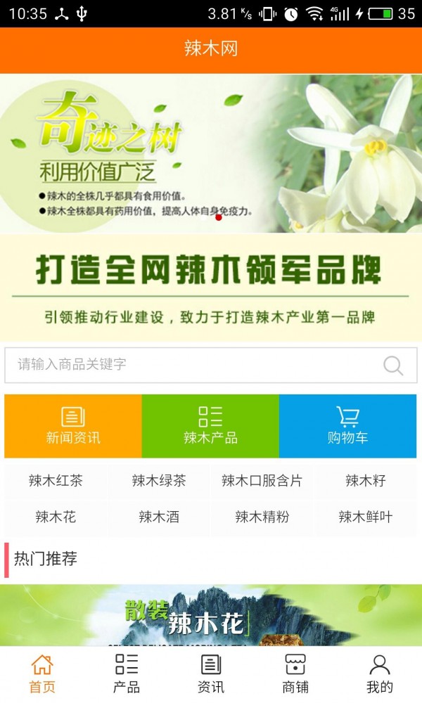 辣木网