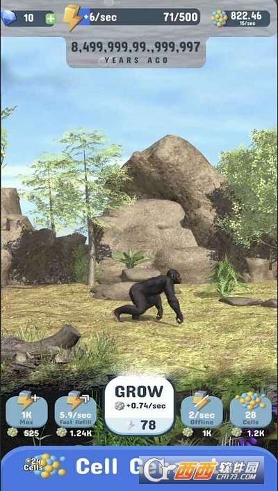物种进化史