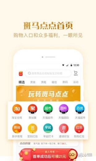 斑马点点