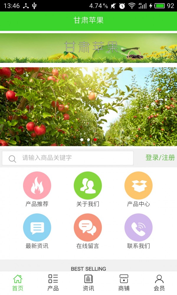 甘肃苹果