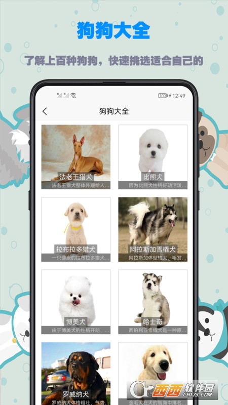 训狗教程app v1.0.0 安卓版