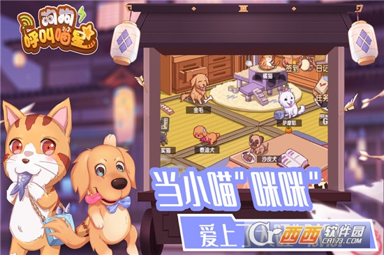 狗狗呼叫喵星