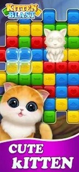小猫疾风