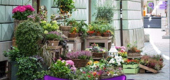 寻找猫隐藏对象