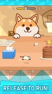小猫捉迷藏