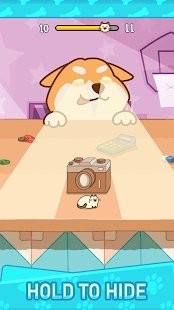 小猫捉迷藏