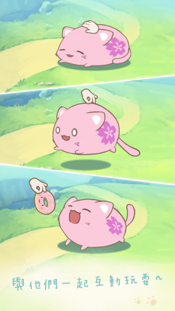 麻?猫收藏
