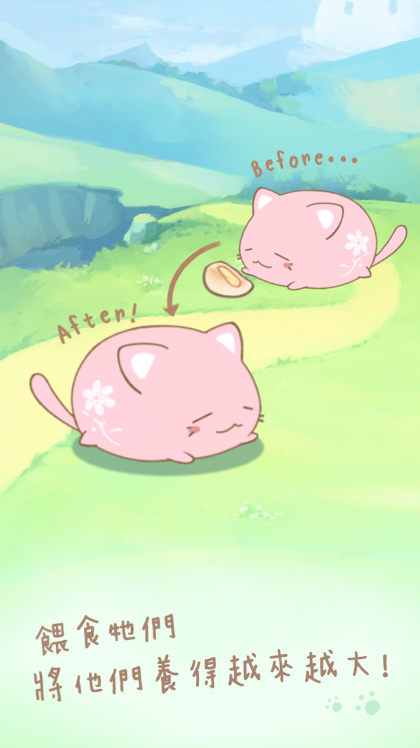 麻?猫收藏