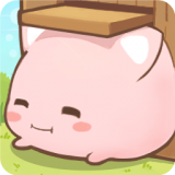 麻?猫收藏