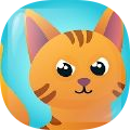 糟糕猫3D