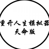 人生重开模拟器轮回之外
