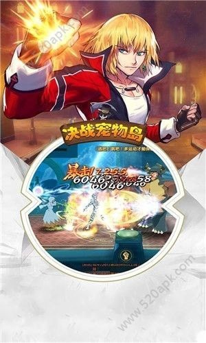 决战宠物岛