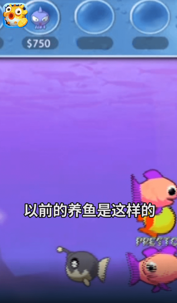 欢乐赚金鱼