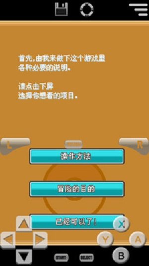 口袋妖怪心灵之金汉化