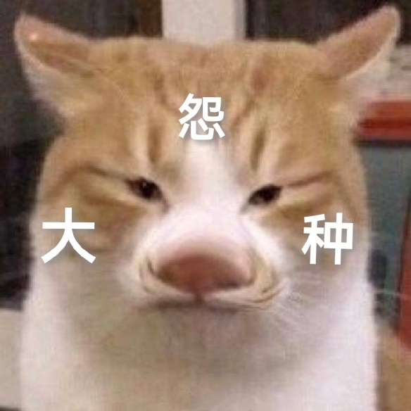 冤种是什么意思 冤种是什么梗