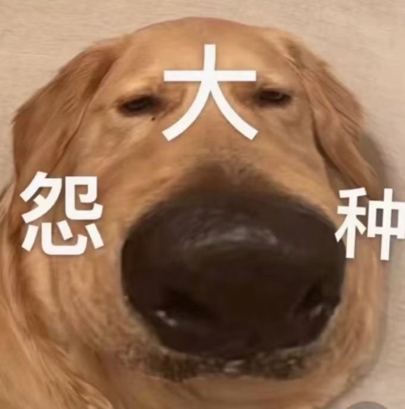 冤种是什么意思 冤种是什么梗