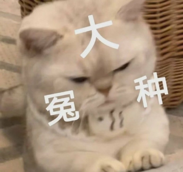 冤种是什么意思 冤种是什么梗