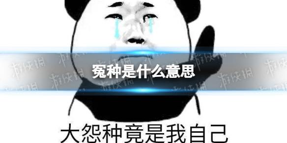 冤种是什么意思 冤种是什么梗