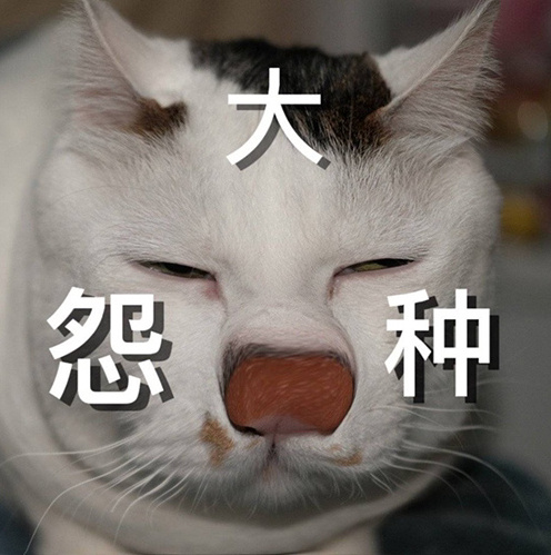 冤种是什么意思 冤种是什么梗