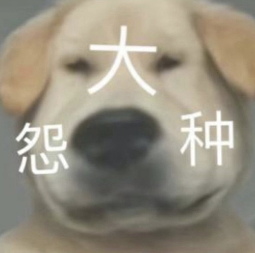 冤种是什么意思 冤种是什么梗