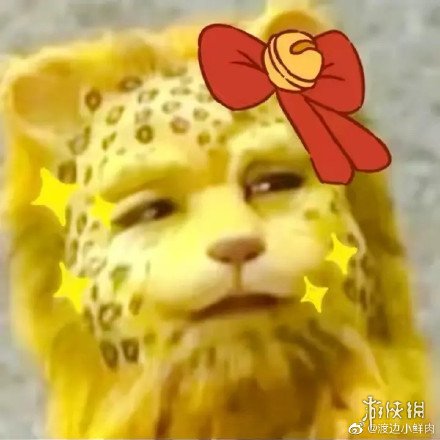 金钱豹头像分享 抖音金钱豹图片大全