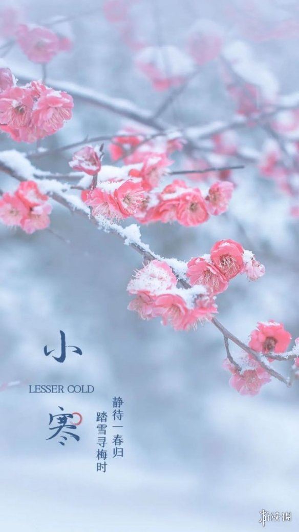 小寒图片大全 小寒图片2022朋友圈配图
