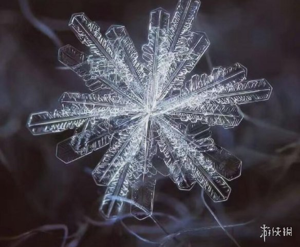 大雪节气图片大全 大雪节气图片唯美2021