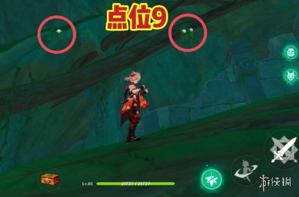 《原神》劫波莲收集路线 劫波莲采集路线图