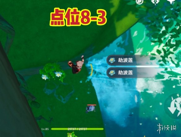 《原神》劫波莲收集路线 劫波莲采集路线图