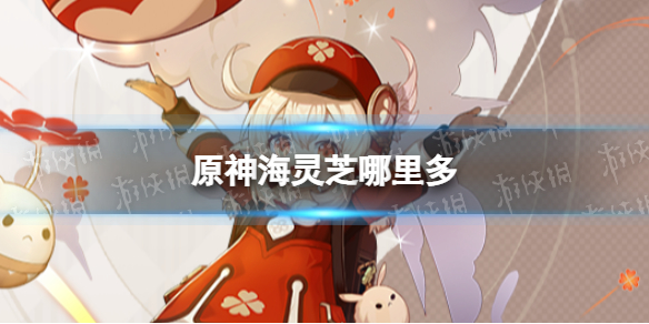 《原神》海灵芝在哪 2.8海灵芝哪里多