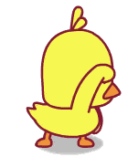 搞笑小黄鸭表情包分享 搞笑小黄鸭表情包在哪