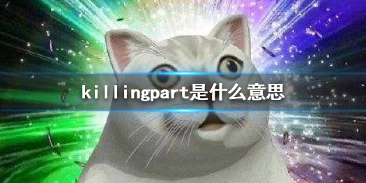 killingpart是什么意思 黄晓明问killingpart是啥