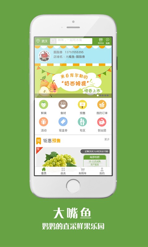 大嘴鱼