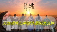 天涯明月刀手游许愿树怎么种
