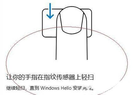 windows11无法录入指纹怎么办 windows11无法录入指纹解决方法