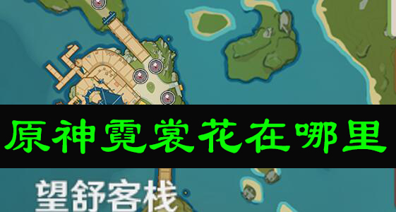 原神霓裳花在哪里