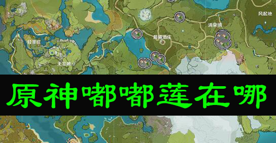 原神嘟嘟莲在哪