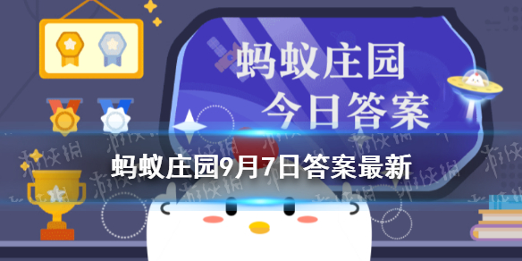 夫妻肺片里面有肺片吗蚂蚁庄园 蚂蚁庄园今日答案夫妻肺片