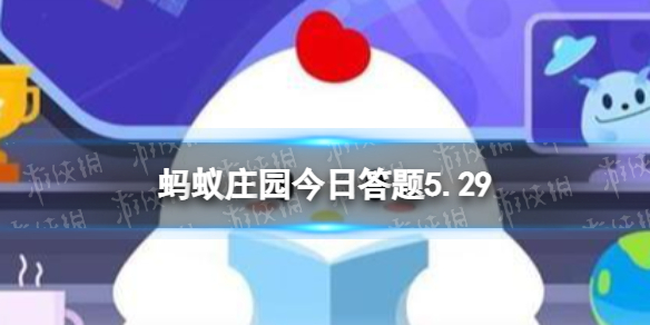 用洗洁精做泡泡水加点什么不易破 蚂蚁庄园今日答案泡泡水