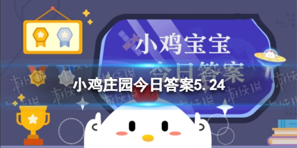 小鸡宝宝考考你猜一猜：油麦菜和以下哪种蔬菜是“亲戚”