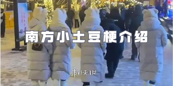 南方小土豆梗介绍