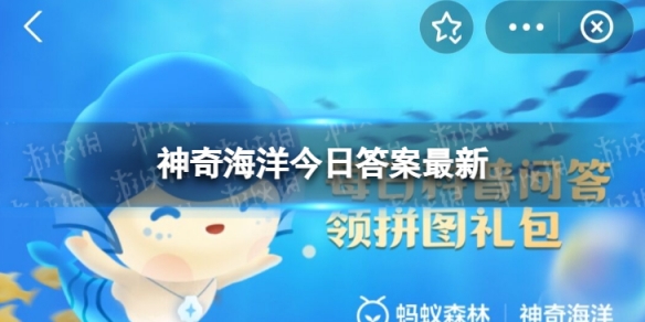 支付宝被人们称为海兔的海洋生物 神奇海洋今日答案8.25