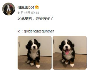 尊嘟假嘟梗哪来的 尊嘟假嘟梗意思